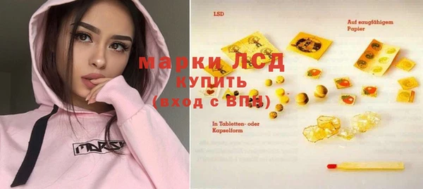стафф Аркадак
