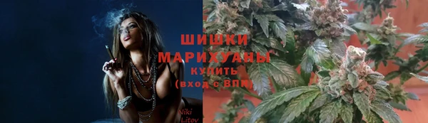 прущий лед Арсеньев
