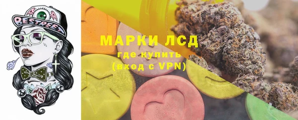 стафф Аркадак