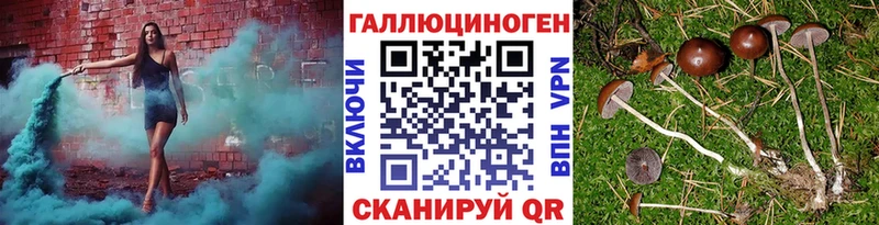 где купить   Октябрьск  Псилоцибиновые грибы Magic Shrooms 